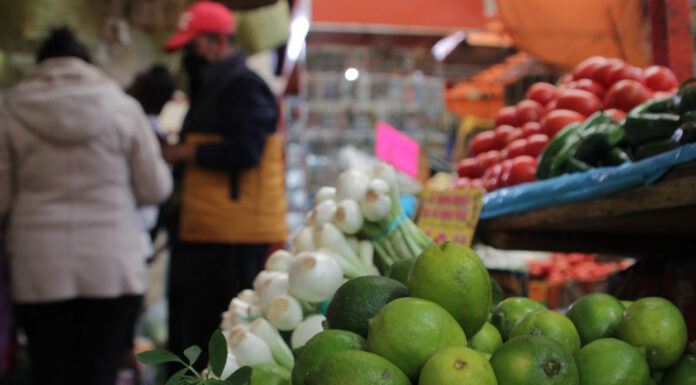 El limón “sigue dando algo de lata”, dice Profeco Ricardo Sheffield Padilla aseguró que el precio del limón ya empezó a bajar desde hace tres semanas.. Foto: Es Imagen