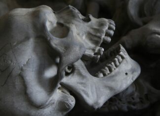 En panteón de Iztapalapa, ofrecen hasta mil 400 por un cráneo