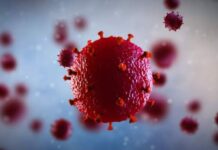 Descubren nueva variante “más virulenta y contagiosa” del VIH