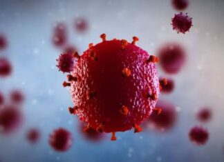 Descubren nueva variante “más virulenta y contagiosa” del VIH