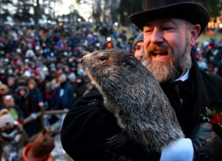 Conoce a Phil, la marmota que predice el clima en EU