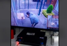 Viralizan a repartidor de Rappi que se robó un pedido Rappi