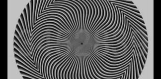 ¿2, 58, 15288? La ilusión óptica que es viral en Twitter ilusión