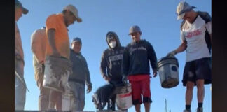 ¡Ulalá, chulada! Perrito ayuda a albañiles y se vuelve viral De fondo se oye el famoso audio de ¡Ulalá, chulada! ¡Sin miedo al éxito!, un elemento del video que lo vuelve mucho más divertido.