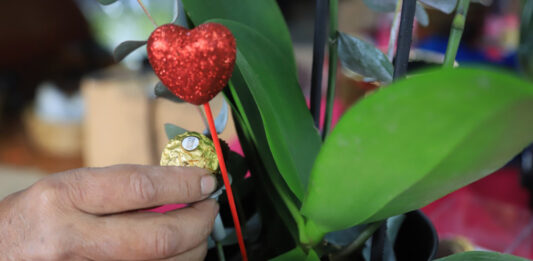 La venta de flores y los regalos de ocasión no repuntó en los días previos a San Valentín, así lo informaron comerciantes del sector. Foto: Es Imagen