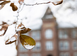 Reportan tiroteo en universidad de Virginia, EU tiroteo