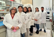 Investigadores de la BUAP desarrollan materiales para limpiar el agua Investigadores buap agua
