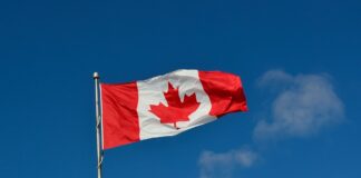 Canadá emite alerta de viaje a 14 estados de México Canadá solicita suspensión de Rusia de la Interpol