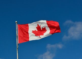 Canadá solicita suspensión de Rusia de la Interpol Canadá solicita suspensión de Rusia de la Interpol