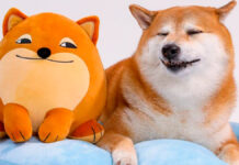 ¡UwU! Lanzan línea de peluches inspirados en Cheems Cheems