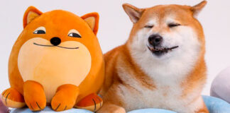 ¡UwU! Lanzan línea de peluches inspirados en Cheems Cheems