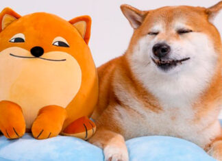 ¡UwU! Lanzan línea de peluches inspirados en Cheems Cheems