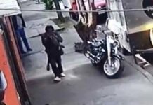 Buscan autoridades al “comegatos” de la CDMX