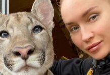 ¡Increíble! Mujer adopta a enorme puma como mascota
