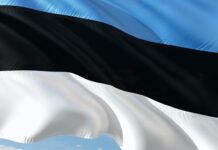 Estonia pide a ONU poner zona de exclusión aérea en Ucrania Estonia