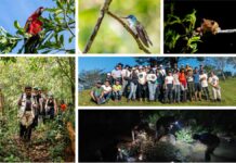 Estudiantes de Biología UDLAP realizan prácticas de campo Estudiantes