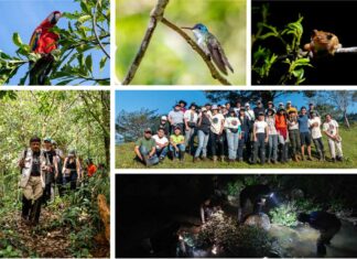 Estudiantes de Biología UDLAP realizan prácticas de campo Estudiantes