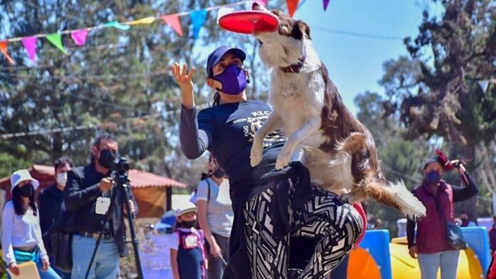 Inauguran el parque canino más grande de la CDMX