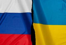 México debe pedir cese de invasión rusa: Senador México