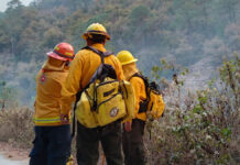 Incendio forestal en Nuevo León termina con 55 hectáreas Nuevo León