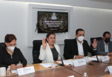 Plantea PRI nueva Unidad Especializada en Delitos contra Pueblos Indígenas La diputada del PRI, Laura Ivonne Zapata , planteó reformas a los artículos 9 y 10 de la Ley Orgánica de la FGE. Foto: Especial