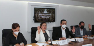 Plantea PRI nueva Unidad Especializada en Delitos contra Pueblos Indígenas La diputada del PRI, Laura Ivonne Zapata , planteó reformas a los artículos 9 y 10 de la Ley Orgánica de la FGE. Foto: Especial