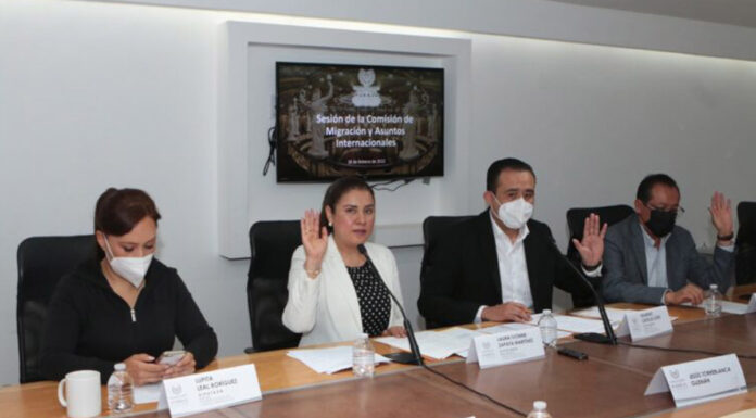 Plantea PRI nueva Unidad Especializada en Delitos contra Pueblos Indígenas La diputada del PRI, Laura Ivonne Zapata , planteó reformas a los artículos 9 y 10 de la Ley Orgánica de la FGE. Foto: Especial