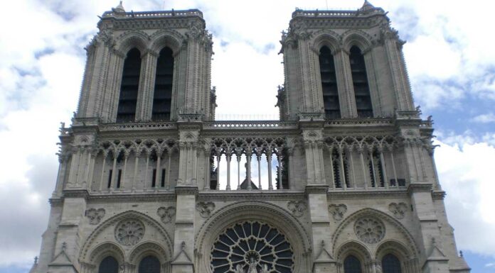 Encuentran restos medievales en obras de Notre-Dame Restos
