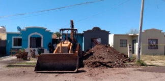 Hallan 17 cuerpos en casas abandonas de Ciudad Obregón Ciudad Obregón