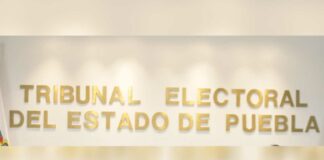 Corcholatas suman 30 denuncias por campaña anticipada: TEEP teep