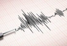 Terremoto de 7.3 activa alerta de tsunami en Japón terremoto