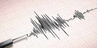 Terremoto de 7.3 activa alerta de tsunami en Japón terremoto