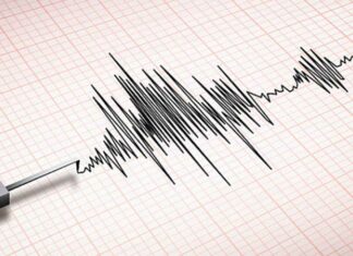 Terremoto de 7.3 activa alerta de tsunami en Japón terremoto