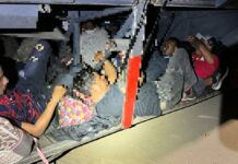 Localizan 101 migrantes en un autobús turístico en Oaxaca