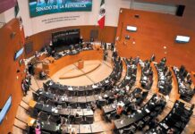 Senado aprueba que funcionarios puedan promover revocación senadores ley minera