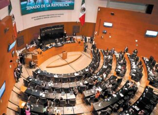 Senadoras se suman al paro nacional de mujeres senadores ley minera