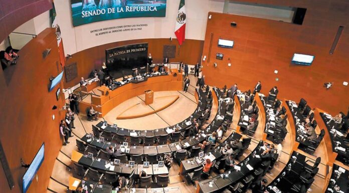 Empleados podrán ausentarse para votar en revocación de mandato senadores ley minera