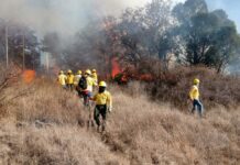 Brigadas de Puebla atacan incendios en 16 minutos