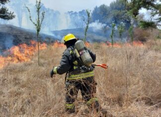 Sofocan incendio de 12 hectáreas en cerro de Amalucan