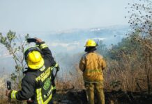 PC Municipal mitiga incendio en Tres Cruces