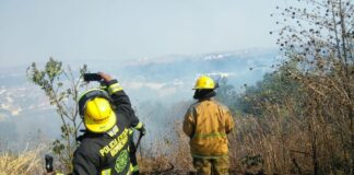 PC Municipal mitiga incendio en Tres Cruces