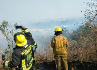 PC Municipal mitiga incendio en Tres Cruces