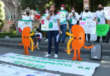 Urgen abasto de medicinas para pacientes renales Los manifestantes pidieron garantizar el abasto de trasplantes y visibilizar el padecimiento que afecta a miles de mexicanos.