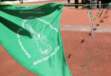 SCJN avala despenalización del aborto en Aguascalientes aborto
