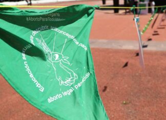 “Voy a favor del aborto”, dice priista Néstor Camarillo aborto