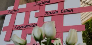 Unidades de género con avances en 42 de 50 municipios con Alerta de Violencia de Género Género