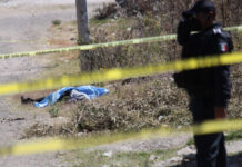 Hallan asesinada a mujer en Palmar; van 22 feminicidios Fue localizado el cadáver putrefacto de una mujer, en el municipio de Palmar de Bravo. Foto: EsImagen // Ilustrativa