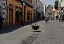 Peatonalización de “calle de los dulces” será exitosa: Edil Calle