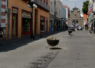 Peatonalización de “calle de los dulces” será exitosa: Edil Calle
