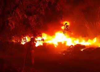 Incendio en carretera a San Miguel Canoa consume 2 mil m2